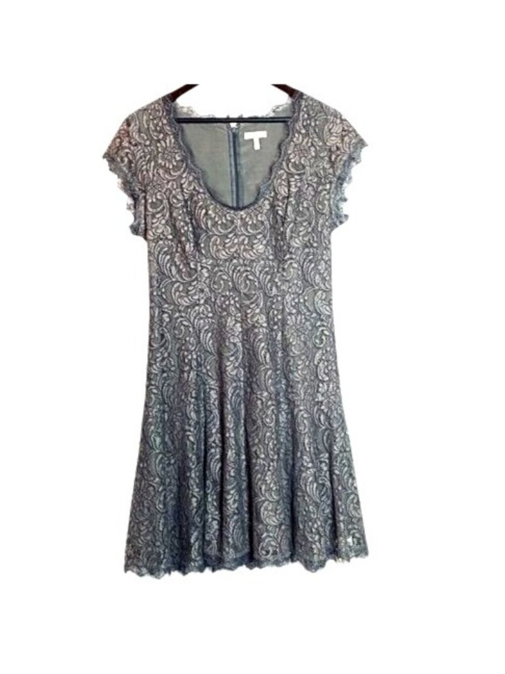 Joie Womens Gray Lace Dress Size 10 Cap Sleeve Scalloped Hem Lined Elegant